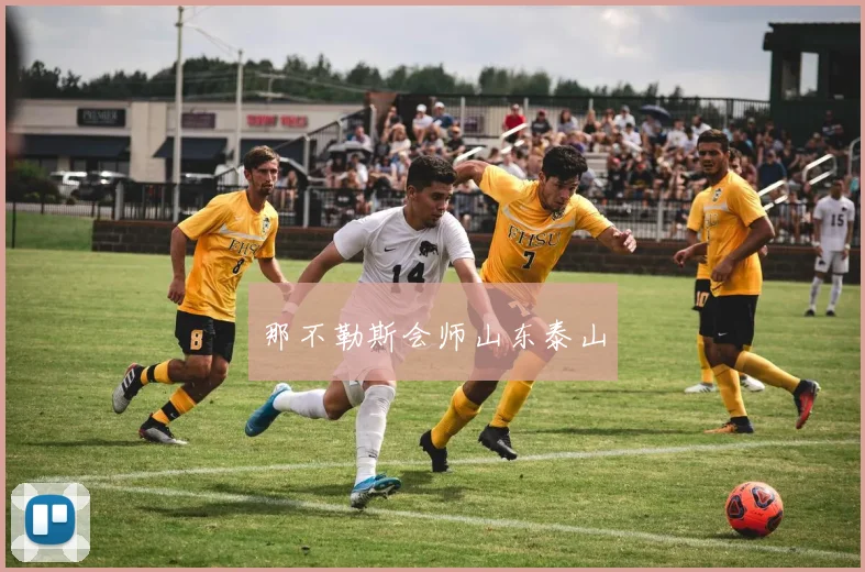 那不勒斯会师山东泰山