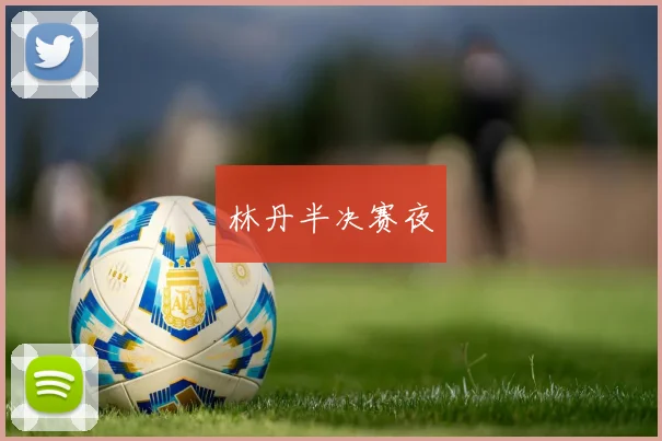 林丹半决赛夜