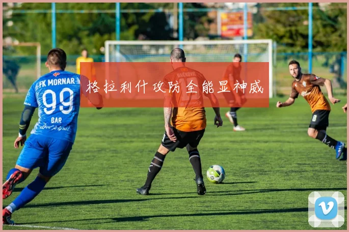 格拉利什攻防全能显神威