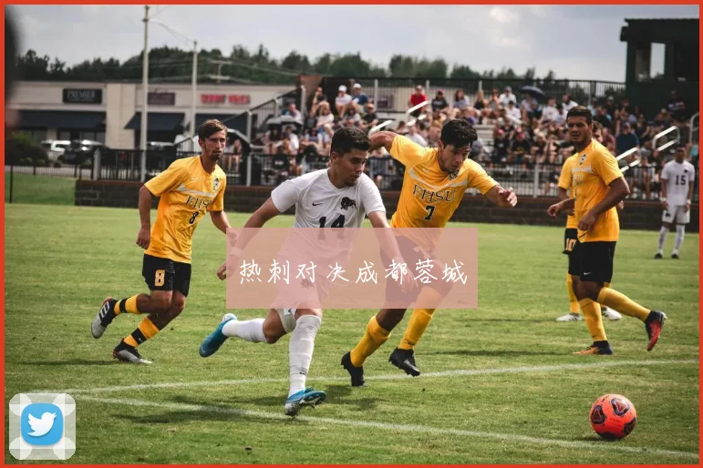 热刺对决成都蓉城