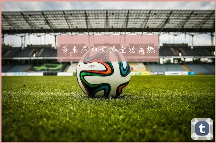多米尼加女排全场高燃