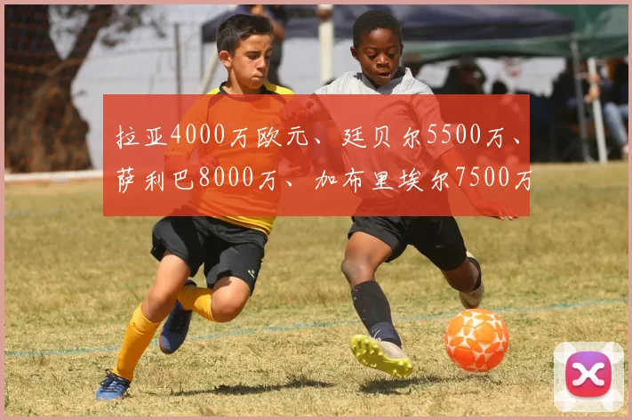 拉亚4000万欧元、廷贝尔5500万、萨利巴8000万、加布里埃尔7500万、赖斯1.2亿、萨卡1.5亿