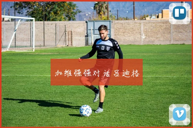 加维强强对话吕迪格