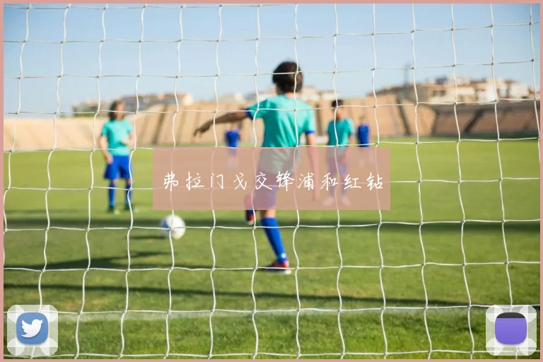 弗拉门戈交锋浦和红钻