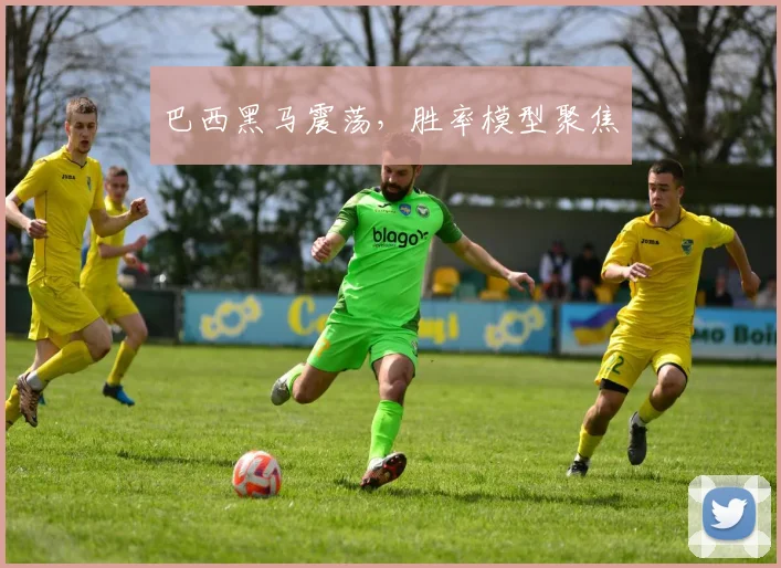巴西黑马震荡,胜率模型聚焦
