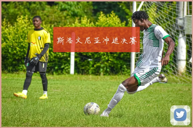 斯洛文尼亚冲进决赛
