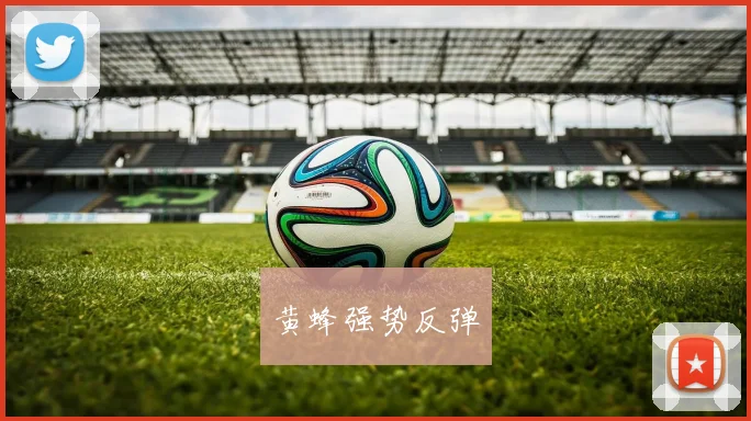 黄蜂强势反弹