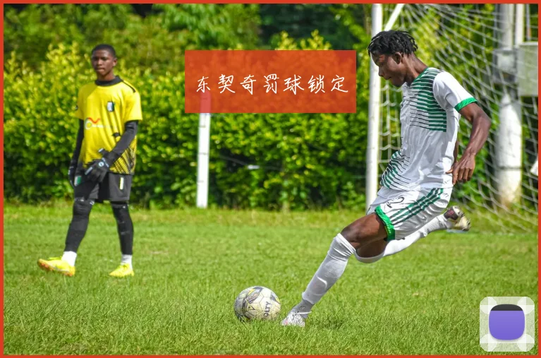 东契奇罚球锁定