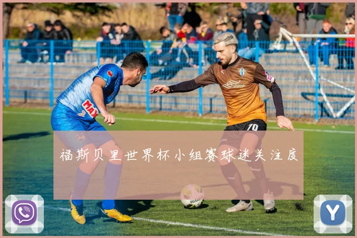 福斯贝里世界杯小组赛球迷关注度
