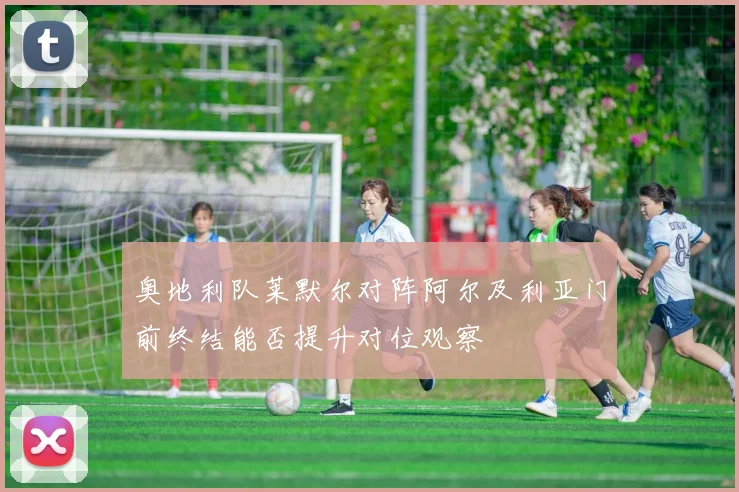 奥地利队莱默尔对阵阿尔及利亚门前终结能否提升对位观察