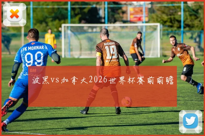 波黑vs加拿大2026世界杯赛前前瞻