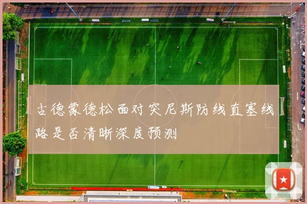 古德蒙德松面对突尼斯防线直塞线路是否清晰深度预测