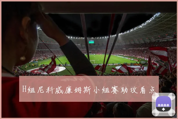 H组尼科威廉姆斯小组赛助攻看点