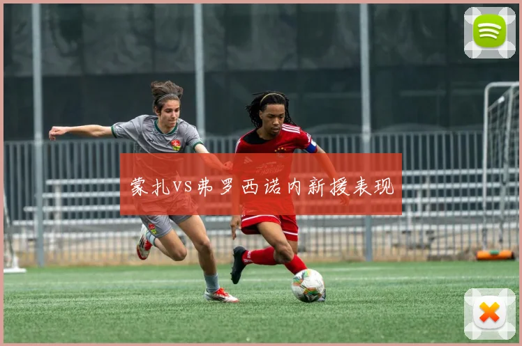 蒙扎vs弗罗西诺内新援表现